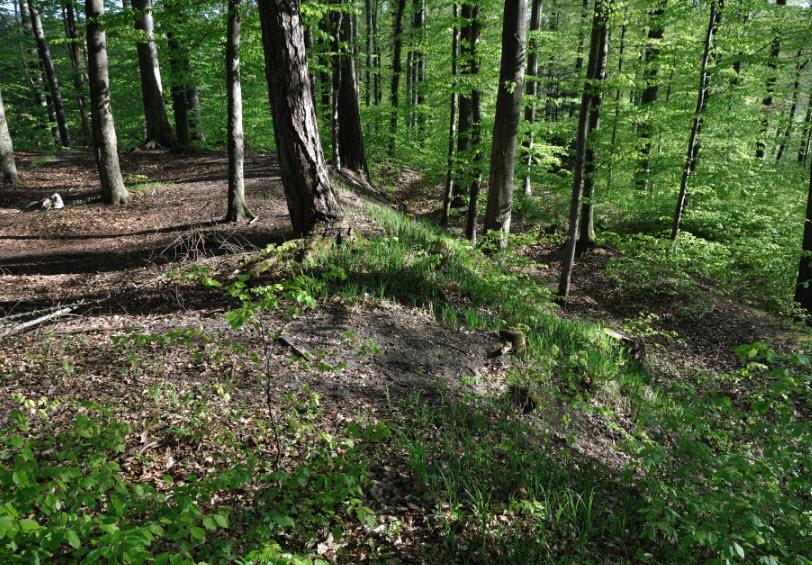 Burgstall Buchhorn, Michelbach an der Bilz, Germany, Germany